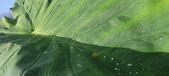 Enlarge photo 159