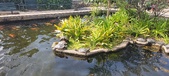 Enlarge photo 160