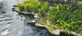 Enlarge photo 161