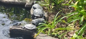Enlarge photo 162