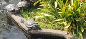 Enlarge photo 166