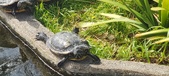 Enlarge photo 164