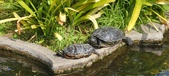 Enlarge photo 169