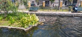 Enlarge photo 173