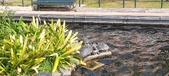 Enlarge photo 172