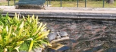 Enlarge photo 175