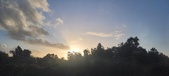 Enlarge photo 55