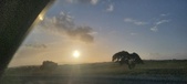 Enlarge photo 57
