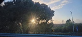 Enlarge photo 70