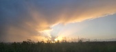 Enlarge photo 106