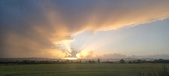 Enlarge photo 108