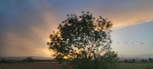 Enlarge photo 111
