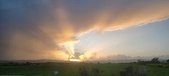 Enlarge photo 114