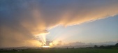 Enlarge photo 113