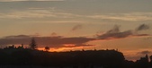 Enlarge photo 47