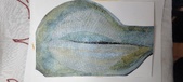 Enlarge photo 61