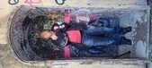 Enlarge photo 262