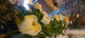 Enlarge photo 37