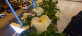 Enlarge photo 28