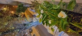 Enlarge photo 34