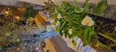Enlarge photo 36