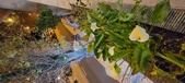 Enlarge photo 35