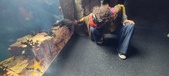 Enlarge photo 243