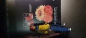 Enlarge photo 228
