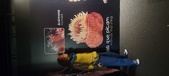 Enlarge photo 225