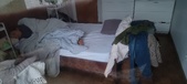 Enlarge photo 217