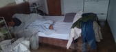 Enlarge photo 216