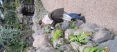 Enlarge photo 203
