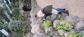 Enlarge photo 204