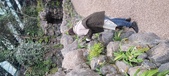 Enlarge photo 205