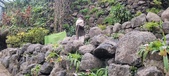 Enlarge photo 206