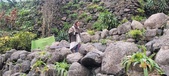 Enlarge photo 207