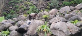 Enlarge photo 209