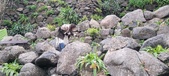 Enlarge photo 210