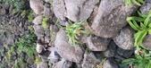 Enlarge photo 211