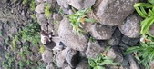 Enlarge photo 212