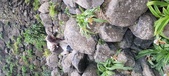 Enlarge photo 213