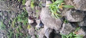 Enlarge photo 214