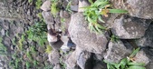 Enlarge photo 215