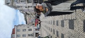 Enlarge photo 350