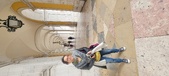 Enlarge photo 336