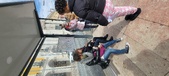 Enlarge photo 326