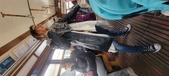 Enlarge photo 320
