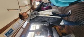 Enlarge photo 319