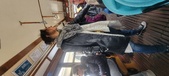Enlarge photo 315