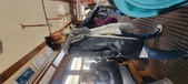 Enlarge photo 113